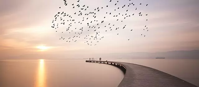 Horoscope du Jeudi 20 Novembre 2025