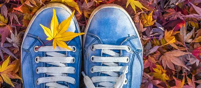 Horoscope du  Vendredi 21 Novembre 2025