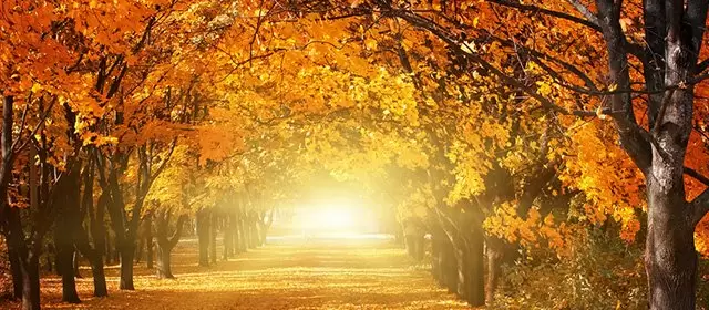 Horoscope du Lundi 24 Novembre 2025