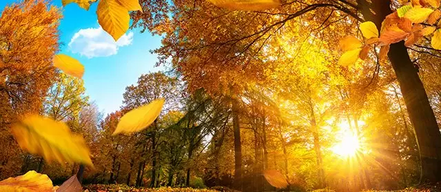 Horoscope du Mercredi 26 Novembre 2025