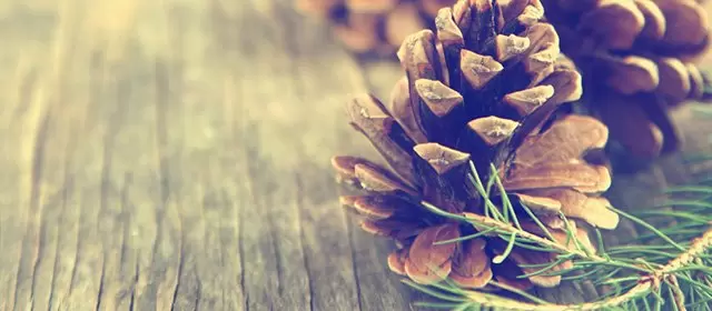 Horoscope du Dimanche 7 Décembre 2025