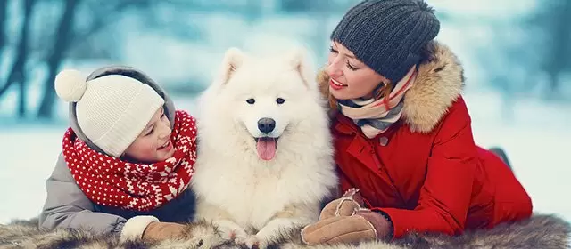 Horoscope du Dimanche 14 Décembre 2025