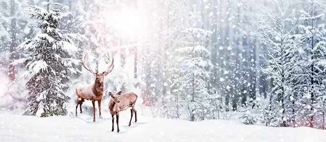 Horoscope du Mercredi 17 Décembre 2025