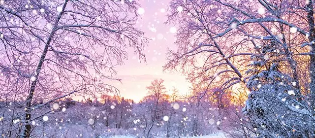 Horoscope du  Lundi 22 Décembre 2025