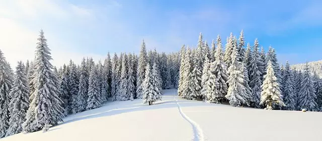 Horoscope du  Mardi 30 Décembre 2025