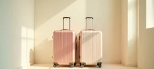 Atouts et faiblesses en colocation ?