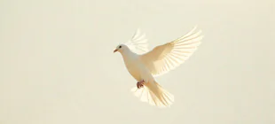 Conseils pour pardonner et avancer